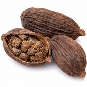 Fabricante de Vietnam Ofrece Gran Venta de Cardamomo Negro Delicioso de Primera Calidad, Estándar Internacional, Suministro a Granel - Product Image 3