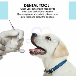 Equipo Profesional de Limpieza y Relleno Dental, Instrumentos Quirúrgicos Dentales de Acero Inoxidable, Scalers - Product Image 5