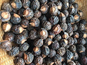Natural Dried Soap Nuts Soapberry Washnut Berries for Laundry <b>Detergent</b> Cleaning Eco Friendly Bulk Wholesale Vietnam Supplier - Product Image 4