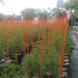 6ft Fiberglass Reinforced <b>Plastic</b> Bar/Strips/Pole for Fence Posts and Farming - Product Image 4