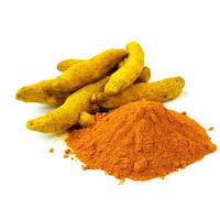 Usine en gros largement fournir de haute qualité en vrac à bas prix curcuma entier séché doigts de curcuma double vernis