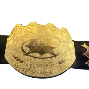 Ceinture de championnat de lutte plaquée or, design haut de gamme, personnalisable, ceintures sportives de collection de haute qualité - Product Image 2