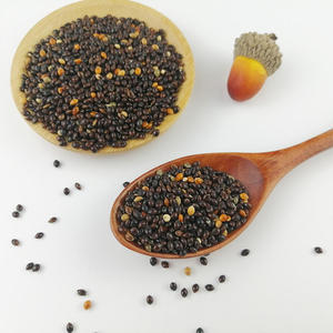 Mijo Proso Indio Orgánico Premium, Sin Gluten, Grano Entero, Cortado al Estilo Steel-Cut, Limpio, Seco, de Grado Alimenticio para Cocinar Saludablemente - Product Image 6