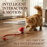 Jouet interactif rechargeable pour animaux de compagnie, balle roulante automatique avec corde pour chiens et chats, utilisation pour le divertissement