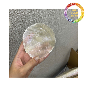 เปลือกหอยธรรมชาติแบบชิ้นสำหรับงานโมเสก DIY กรอบตกแต่ง และงานตกแต่งผนังทำมือ - Product Image 3