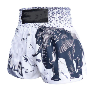 Custom Wholesale Boxing Shorts for Men New Design Sportswear <b>Boxer</b> Style Lightweight Quick Dry Breathable - Product Image 2