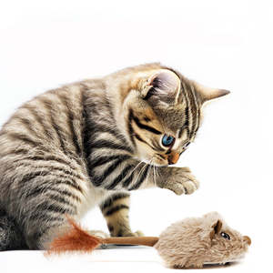 Juguete Electrónico de Peluche Moderno e Interactivo con Cola Vibrante, Carga Inteligente Tipo-C para Gatos - Product Image 6