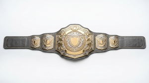Personalized Championship <b>Belt</b> Custom Sports Trophy <b>Belt</b> Gold Plated Metal Award for <b>Wrestling</b> Boxing - Product Image 5