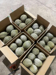 Exportación de pulpa de durian congelada premium de Vietnam - Product Image 4