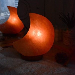 Lampe de sel de l'Himalaya en forme de lune, design personnalisé OEM 2025, 100% faite à la main, base en bois, émail naturel, technique de sculpture, vente en gros - Product Image 3