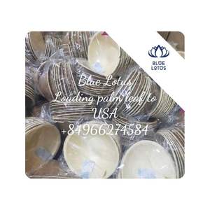 Assiette en feuille de palmier de haute qualité pour buffet, traiteur, événement, fête et restaurant, Vietnam - Product Image 1