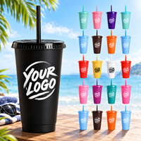 Gobelets en plastique personnalisés de 24 oz avec couvercles et pailles – Tasses réutilisables pour le camping, la randonnée, les fêtes et les cadeaux d'anniversaire – Vente en gros