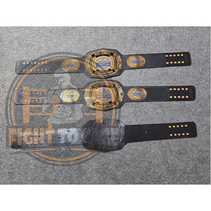 Crea tu propio logo, cinturón a precio económico, ligero, duradero, para lucha libre, boxeo, artes marciales mixtas, cinturones de campeonato para niños, cinturones para adultos. - Product Image 6