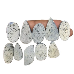 Piedras preciosas sueltas de cuarzo de cristal curativo de Palma de Coral azul de alta calidad al por mayor para decoraciones artesanales y fabricación de joyas - Product Image 1