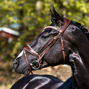 Brida de Caballo de Cuero Genuino Premium con Flecos y Conchos Hechos a Mano, Estilo Inglés y Western, para Equitación - Product Image 5