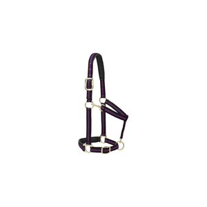เชือกจูงม้าแบบ Halter ทำจากไนลอนทนทาน พร้อมรายละเอียดหนังแท้และอุปกรณ์เหล็กทองเหลือง - Product Image 6