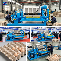 Máquina de Moldeo de Pulpa para Bandejas de Huevos, 1000 Piezas/Hora, Pequeña Capacidad, con Secado Natural