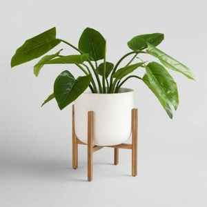 Petit pot de fleurs en céramique avec support en bois, pot de fleurs d'intérieur, pot de fleurs moderne minimaliste, support décoratif pour bureau, maison - Product Image 2