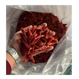 Piment rouge séché, produit agricole pour la vente en gros internationale B2B - Product Image 2