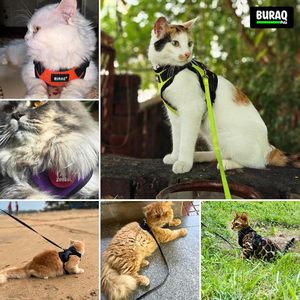 Cat No Pull <b>Harness</b> OEM ODM Custom Logo Adjustable Escape Proof Cat <b>Harness</b> & Leash Set Direct Manufacturer - Product Image 4