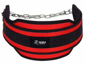 Coexistence Adjustable Neoprene Fitness Dip Belt with Non-Slip Buckle Breathable for Squats Deadlifts Powerlifting for Men Women - Product Image 4