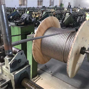 Dây cáp thép không gỉ tiêu chuẩn ASTM 3mm 5mm 8mm 10mm 7*19 1*7 dùng cho giàn leo cây - Product Image 6