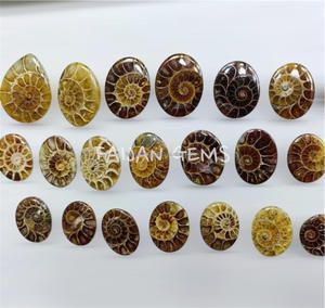 Cabochons d'ammonites naturelles, cristaux polis uniques, pierres précieuses en vrac, sans traitements, certifiées par un tiers, toutes formes et tailles pour - Product Image 3