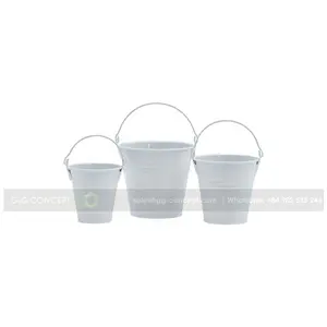 S3/白色镀锌桶花盆圆形镀锌钢花盆，花盆金属与花/绿色植物现代使用