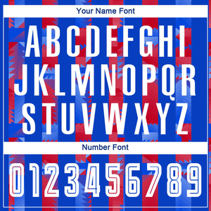 บริการระดับมืออาชีพรับประกันคุณภาพชุดฟุตบอลโพลีเอสเตอร์แบบซับลิเมชั่นจากผู้ส่งออกรายใหญ่ที่ได้มาตรฐานสากล - Product Image 5