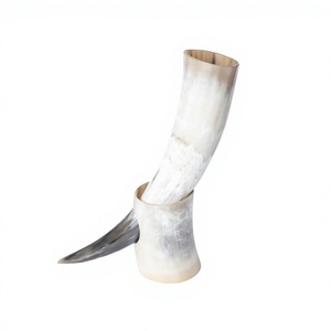Best Selling Eco-Friendly Viking Drinking Horn Organic Material Carved Technique High Quality Natural Shape Wedding Gift Beer - Product Image 1