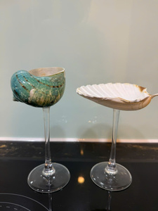 Copa de Cóctel Ecológica de Concha Marina Vietnamita, Copa de Champán para Bodas en la Playa, Fiestas Temáticas del Océano, Graduación, Año Nuevo - Product Image 3