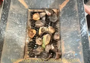 Trituradora de Coco Tierno de Doble Eje Eléctrica Semiautomática de la Mejor Calidad, Máquina Trituradora Orgánica - Product Image 3