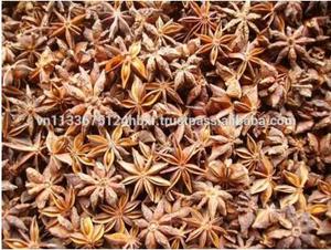 Anís estrellado de alta calidad, especias secas procesadas por el fabricante y exportador Phalco en Vietnam, estilo crudo, precio económico. - Product Image 5