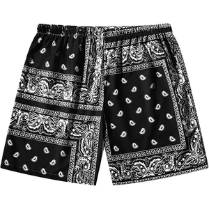 Shorts de sport pour homme en mesh, imprimé paisley, style basketball, respirants et légers - Product Image 2