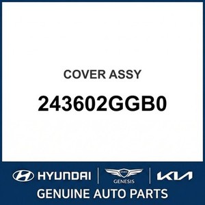 Repuestos y Accesorios para Autos y Camionetas Santa Fe Nuevos 243602GGB0 - Product Image 1
