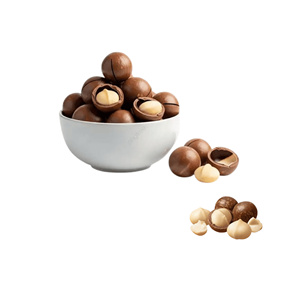 <b>Big</b> Sale Premium Quality Vietnam Manufacturer Supply Best Selling Delicious Raw Macadamia Packed in 1kg Bag - Product Image 4