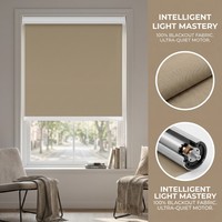 Persianas Zigbee para Ventanas Tuya, Motorizadas, Eléctricas, con Wifi Integrado, Opacas, Horizontales, Automáticas, Inteligentes, Enrollables