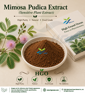 Suministro Directo de Fábrica HGO de Extracto Puro y Natural de Mimosa Pudica, Grado Alimenticio, Especificaciones 5:1, 10:1, 20:1 - Product Image 1