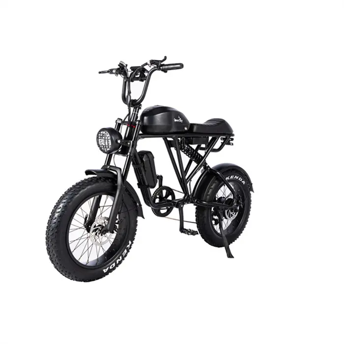 SoverSky Customized Super Electric mountain bike 500w 48v e bike electric bicycle