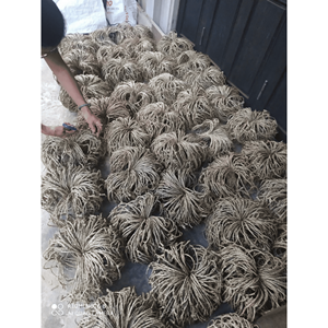 Seagrass holder cup woven seagrass fiber material for drink cup <b>cover</b> insulation and <b>table</b> accessory Vietnam - Product Image 2