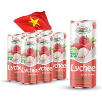 OEM ODM Groothandel 250ml blikjes Gemengde fruitsap NAWON Vietnam Fabriek Gratis monster Gratis ontwerp Private label verpakking beschikbaar
