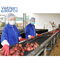 Passievrucht Van Hoge Kwaliteit-Exotisch Tropisch Vers Zoetzure Passievrucht-Voor Cocktails-Van Vietnam Fabriek