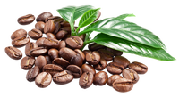 150g de craquelins au café, biscuits croustillants, meilleur prix, OEM ODM, usine du Vietnam