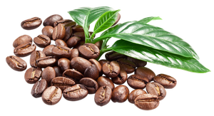 แครกเกอร์รสกาแฟ 150 กรัม บิสกิตกรุบกรอบ ราคาดีที่สุด รับผลิตแบบ OEM ODM โรงงานเวียดนาม - Product Image 3