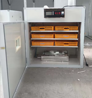 Incubateur solaire entièrement automatique pour poulets, canards, oies, cailles, 528 œufs, taux d'éclosion élevé, machine d'éclosion pour élevage avicole HJ-SI6