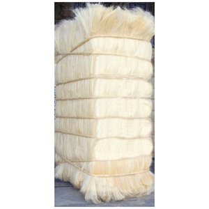 Fibre de sisal de qualité industrielle pour la fabrication de cordes, de cordages, de brosses et de tapis - Product Image 4