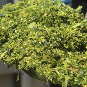 Silage de maïs premium pour l'alimentation du bétail – Fourrage fermenté de haute qualité en provenance du Vietnam - Product Image 1