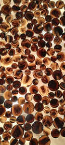 Boutons vierges de tailles et couleurs variées, fabriqués authentiquement à partir de corne de buffle et de corne de bœuf véritable par des artisans indiens. - Product Image 3