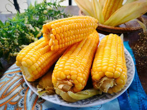 ข้าวโพดหวานต้มสุกสด บรรจุภัณฑ์สุญญากาศธรรมชาติ ผู้ผลิตอาหาร OEM - Product Image 5