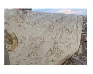 Bloque de Piedra Caliza Coralina Dorada Real con Patrón de Vetas Naturales, Gran Losa Cruda para Revestimiento Arquitectónico y Uso en Suelos - Product Image 3